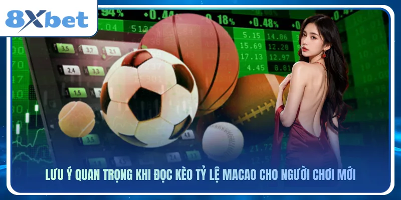 Lưu ý quan trọng khi đọc kèo tỷ lệ macao cho người chơi mới