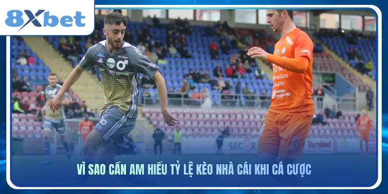 Vì sao cần am hiểu tỷ lệ kèo nhà cái khi cá cược